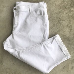 ON White Sweetheart Crops